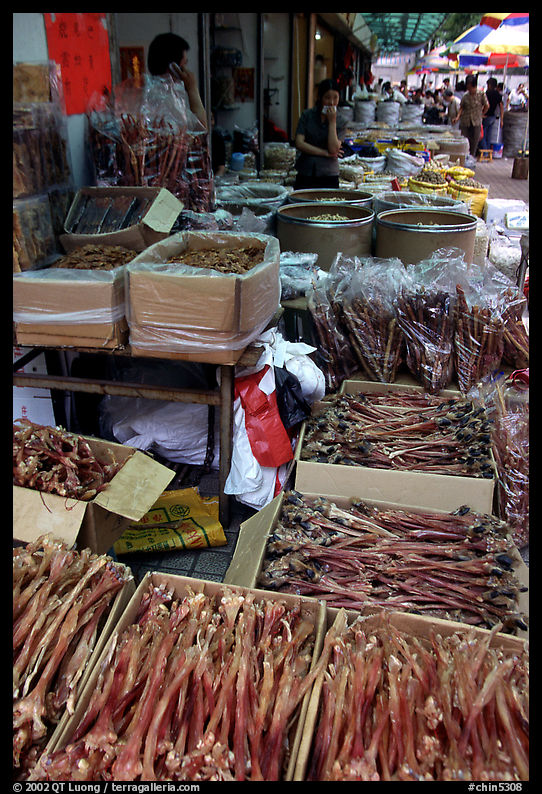 Strange animal parts for sale at the Qingping market. Guangzhou, Guangdong, China