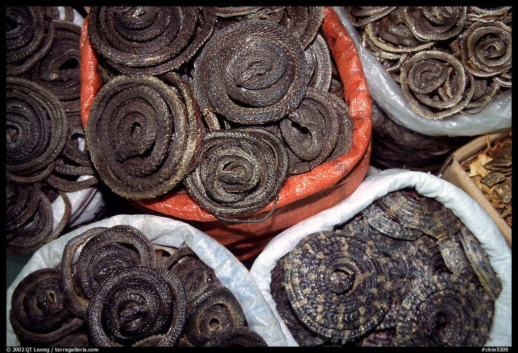 Coiled dried snakes for sale at the Qingping market. Guangzhou, Guangdong, China