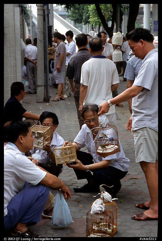 Peddling birds on the street. Guangzhou, Guangdong, China