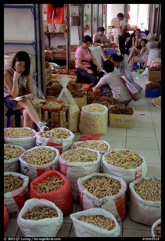 Woman selling dried food items inside the Qingping market. Guangzhou, Guangdong, China