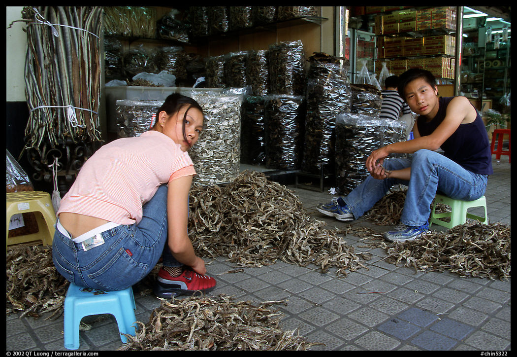Sorting out dried sea horses. Guangzhou, Guangdong, China