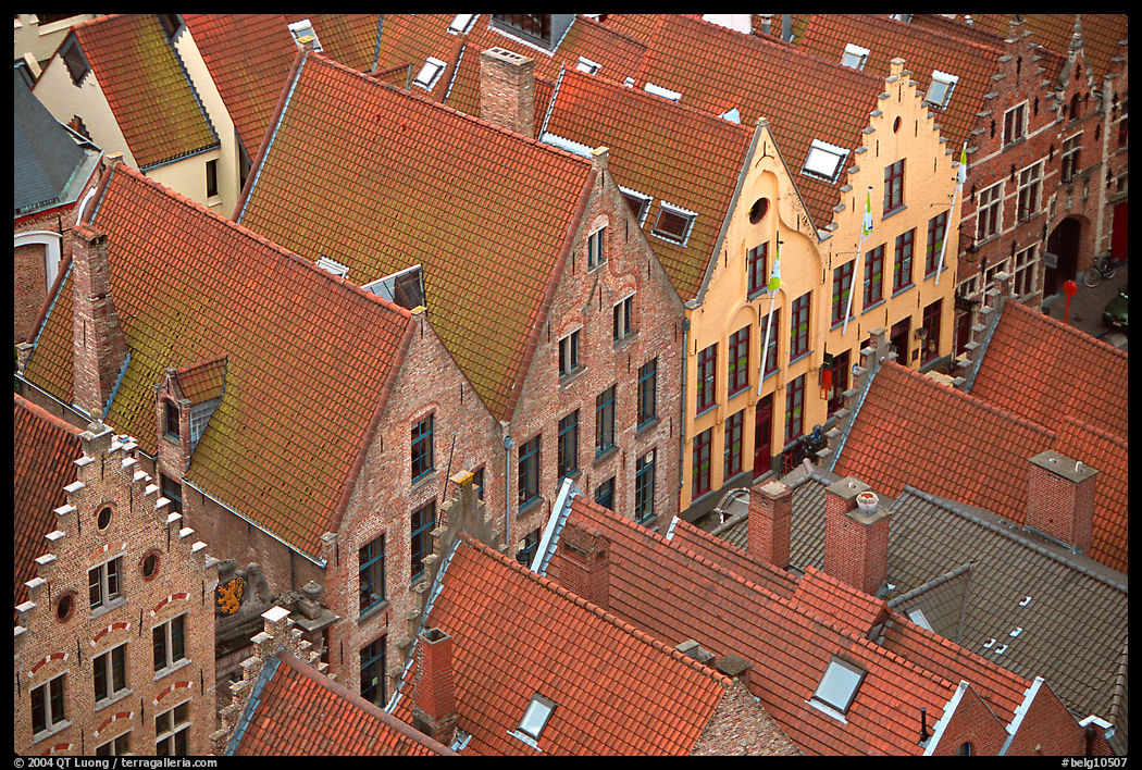 Rooftops. Bruges, Belgium