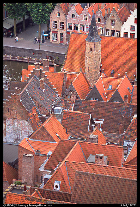 Rooftops. Bruges, Belgium