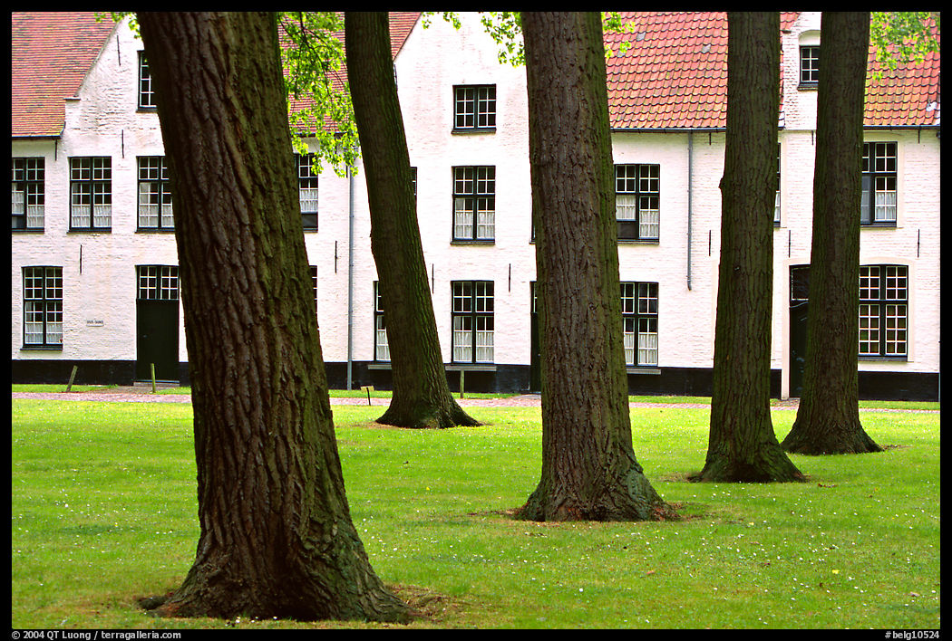 Courtyard of the Begijnhof. Bruges, Belgium