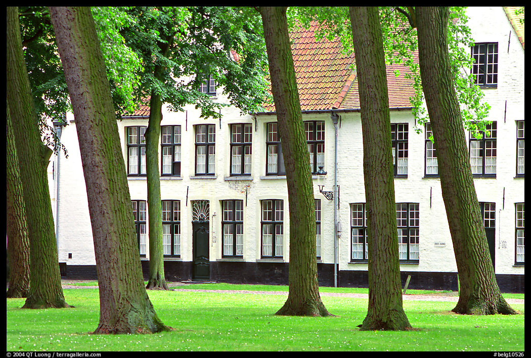 Grassy square in Beguinage (Begijnhof). Bruges, Belgium