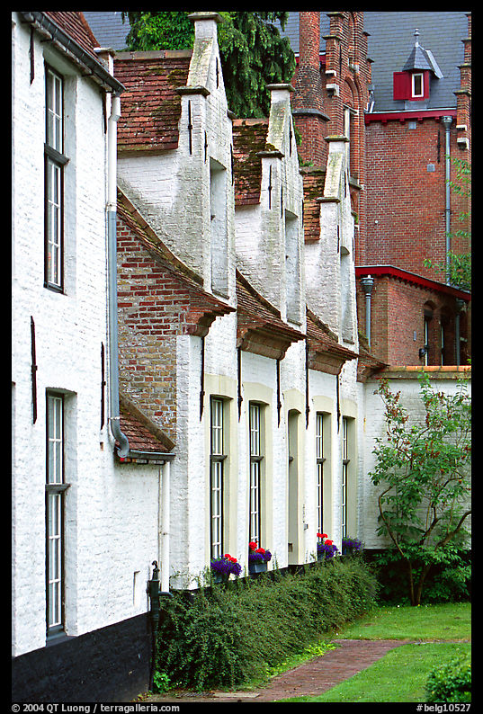 Whitewashed houses in the Beguinage. Bruges, Belgium