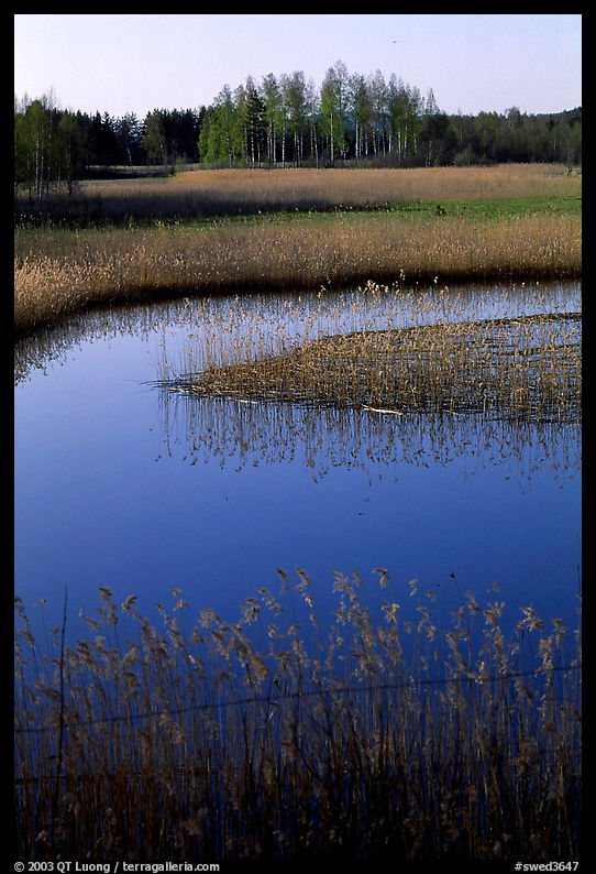Pond. Gotaland, Sweden