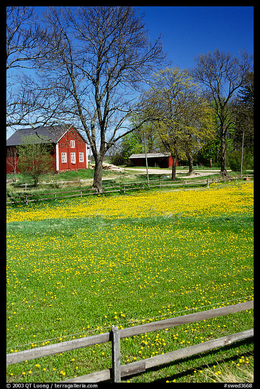 Pasture and farm. Gotaland, Sweden