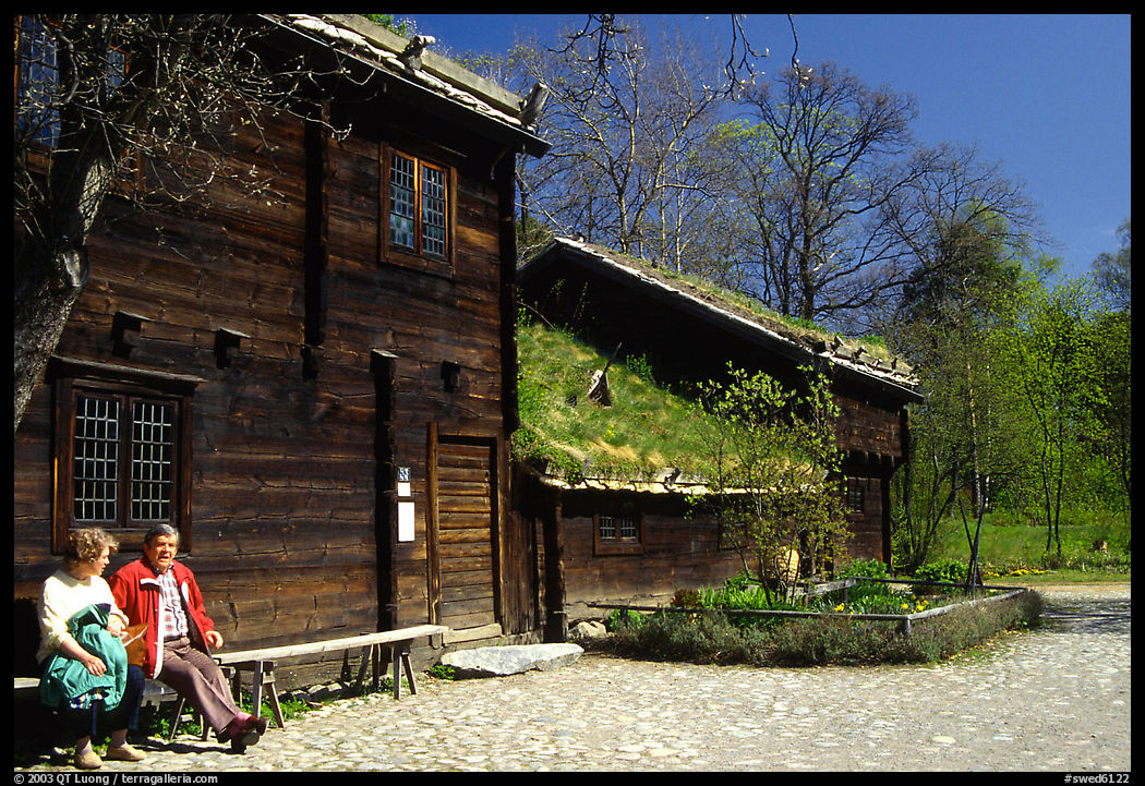 Traditional house with roof covered in grass, Skansen. Stockholm, Sweden