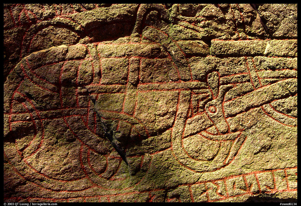 Typical Uppland rune stones. Uppland, Sweden
