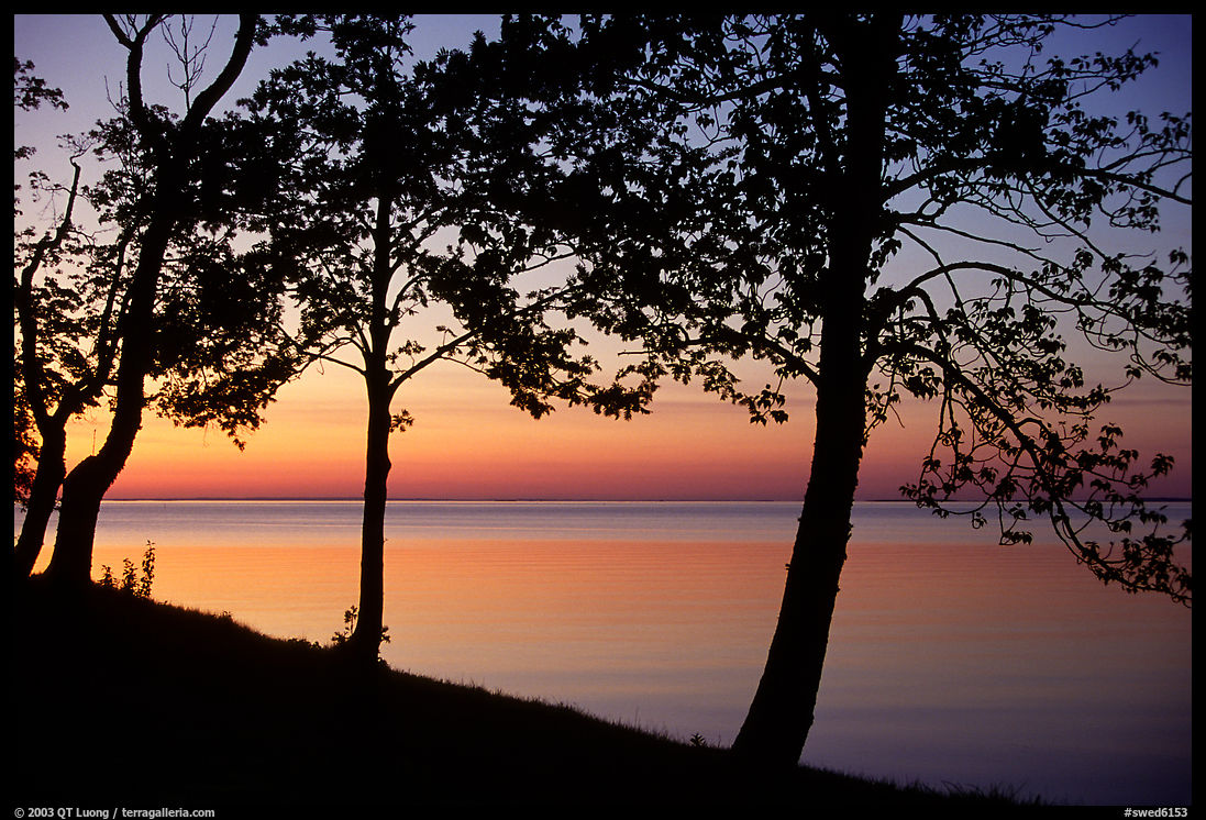 Trees and sunset on Vattern Lake, Vadstena. Gotaland, Sweden