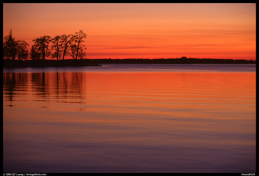 Trees and sunset on Vattern Lake, Vadstena. Gotaland, Sweden
