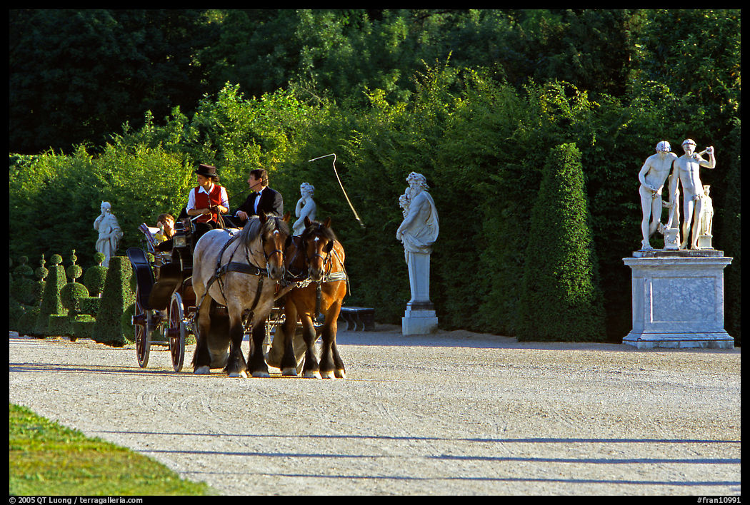 Horse carriage in an alley of the palace gardens. France