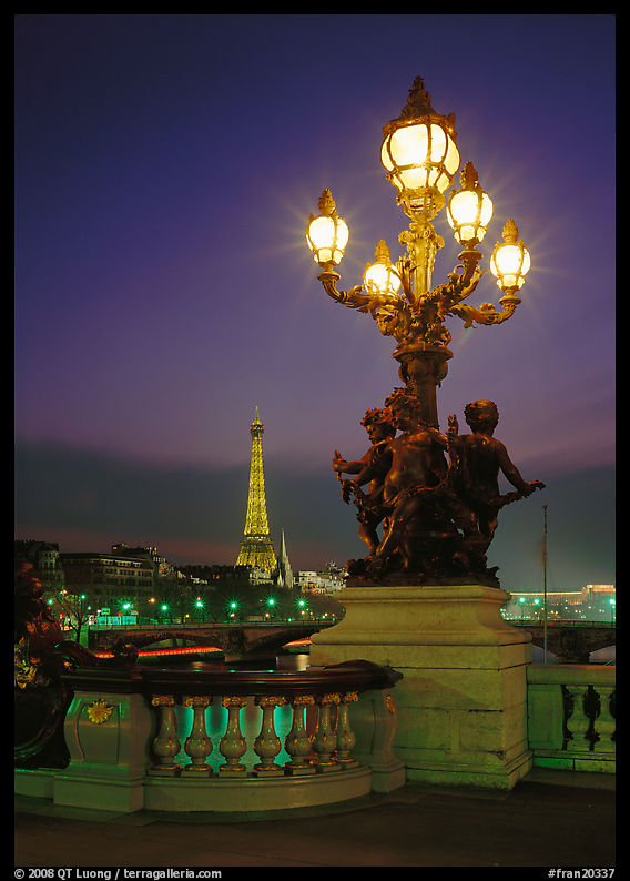 Lamps on Pont Alexandre III and Eiffel Tower at night. Paris, France