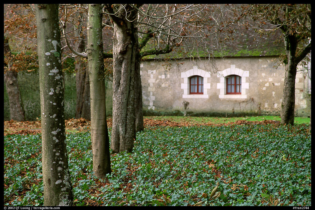 Estate of Chenonceaux chateau. Loire Valley, France