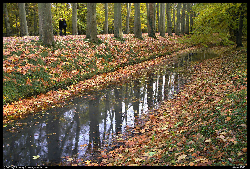 Along the alley leading to the Chenonceaux chateau. Loire Valley, France