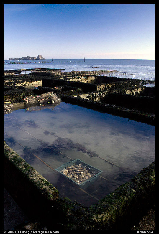 Oyester cages in Cancale. Brittany, France