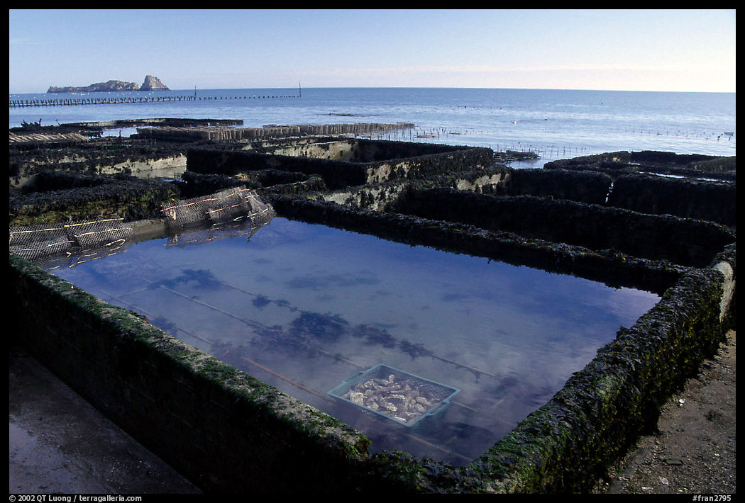 Oyester cages in Cancale. Brittany, France