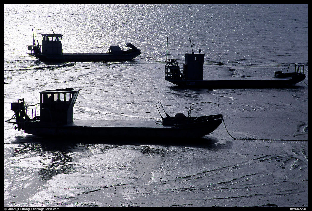 Flat-bottom fishing boats at low tide, Cancale. Brittany, France