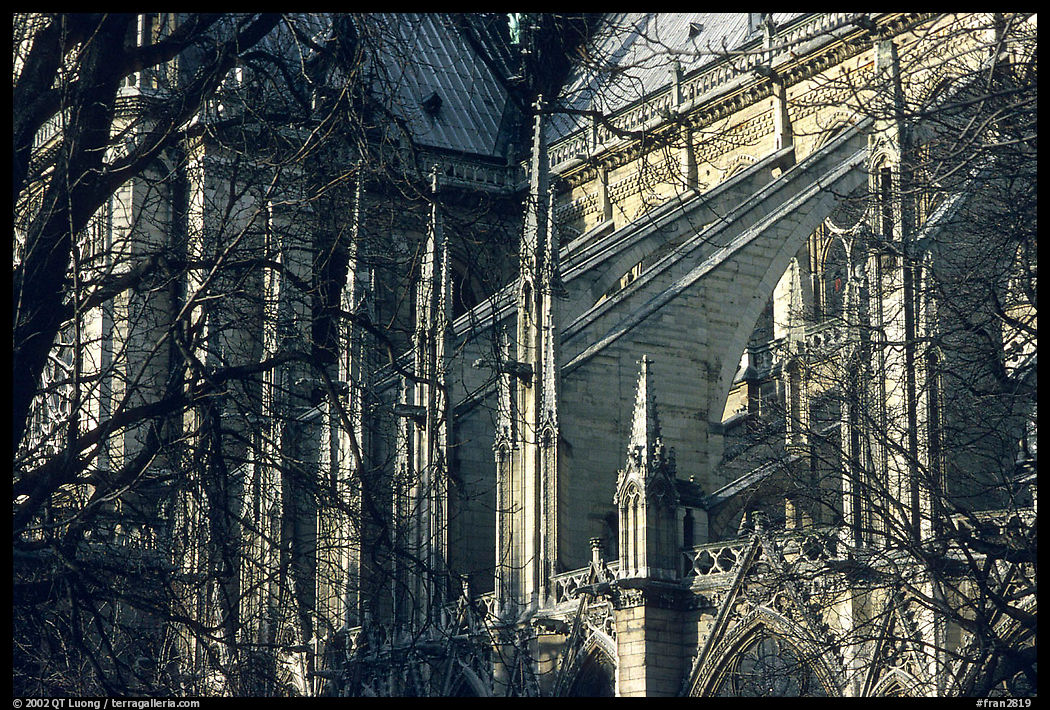 Notre Dame Cathedral detail. Paris, France