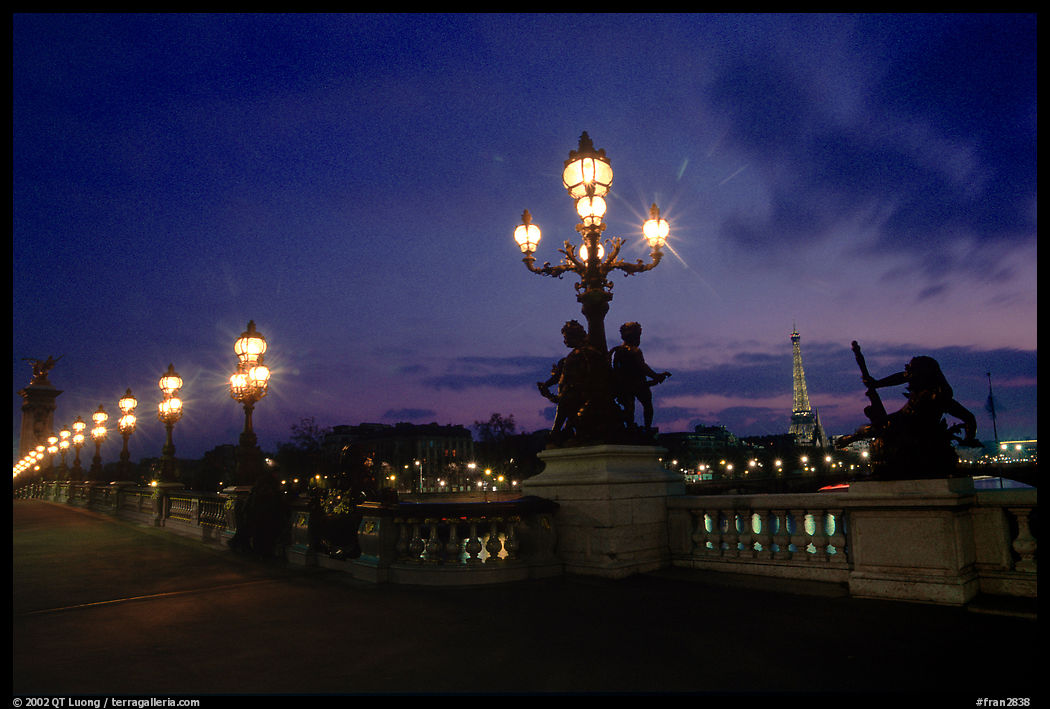 Lamps on Pont Alexandre III and Eiffel Tower at night. Paris, France