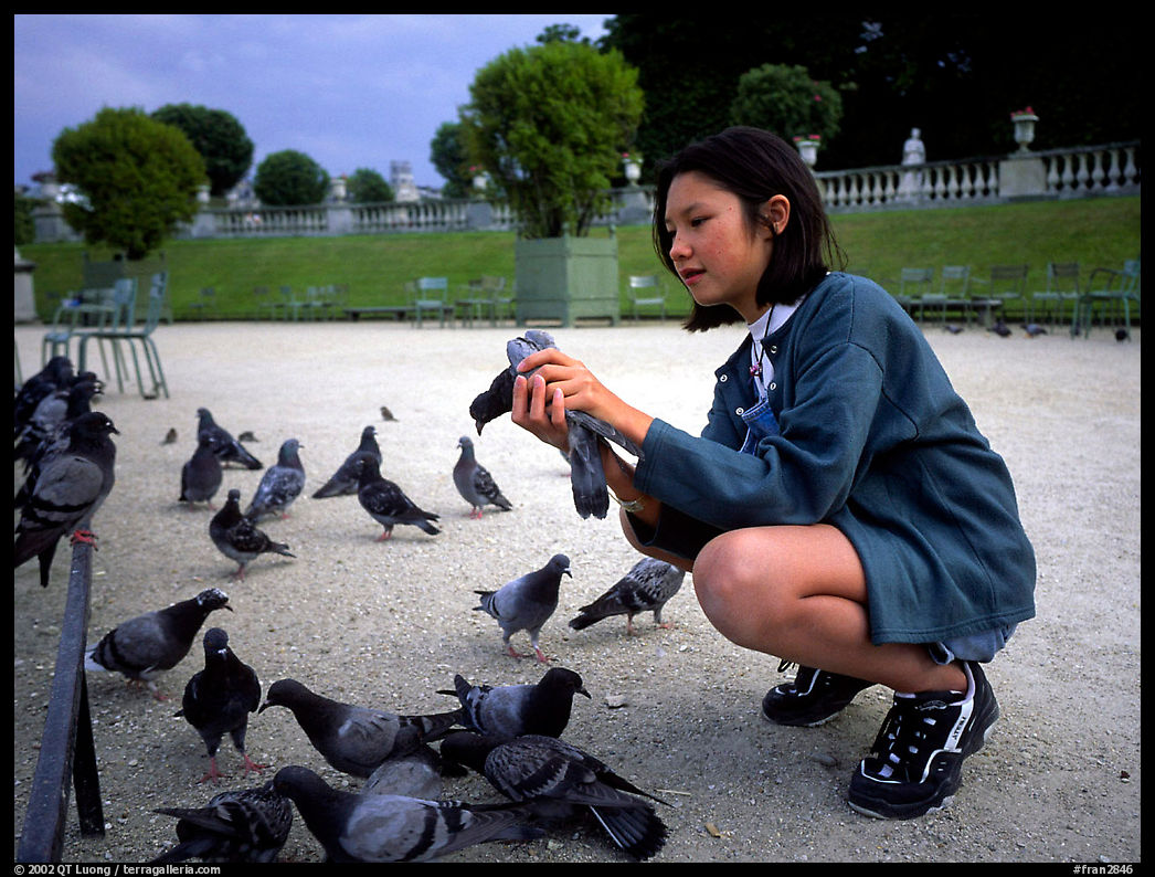 Girl feeding pigeon, Jardin du Luxembourg. Paris, France