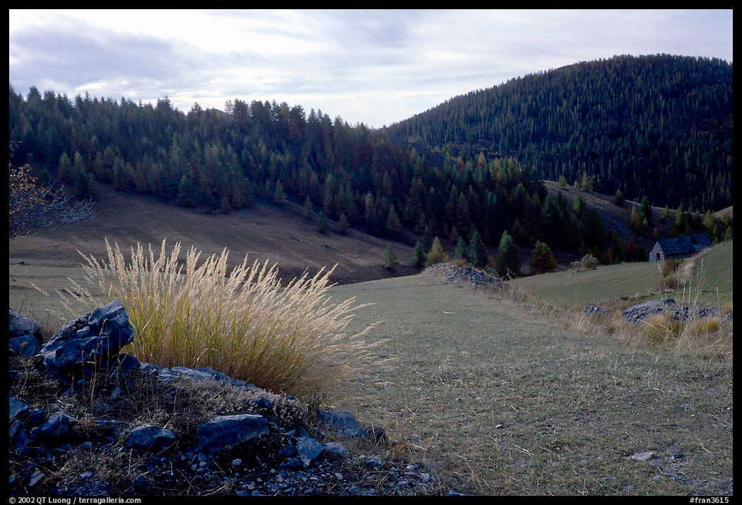 Mountain pasture in fall. Maritime Alps, France