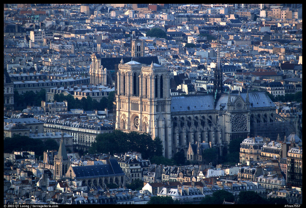 Notre Dame seen from the Montparnasse Tower, sunset. Paris, France