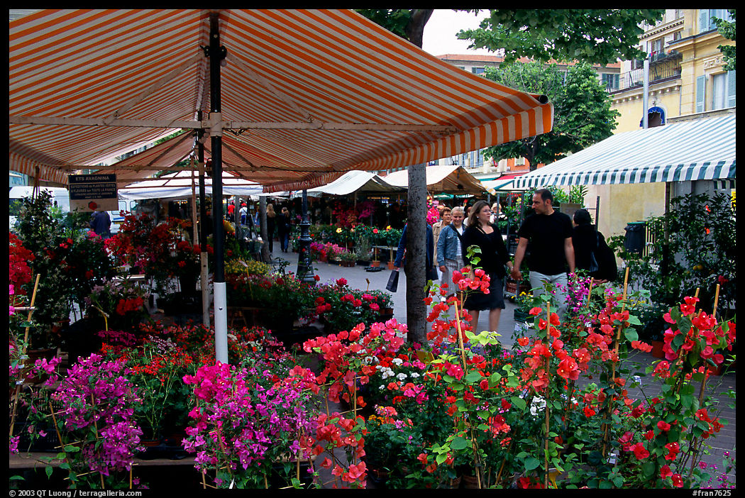 Flower Market, Nice. Maritime Alps, France