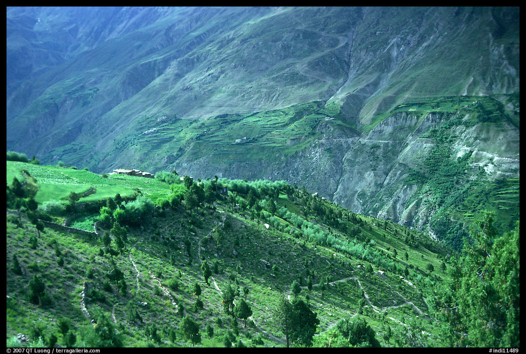 Verdant valley, Lahaul, Himachal Pradesh. India
