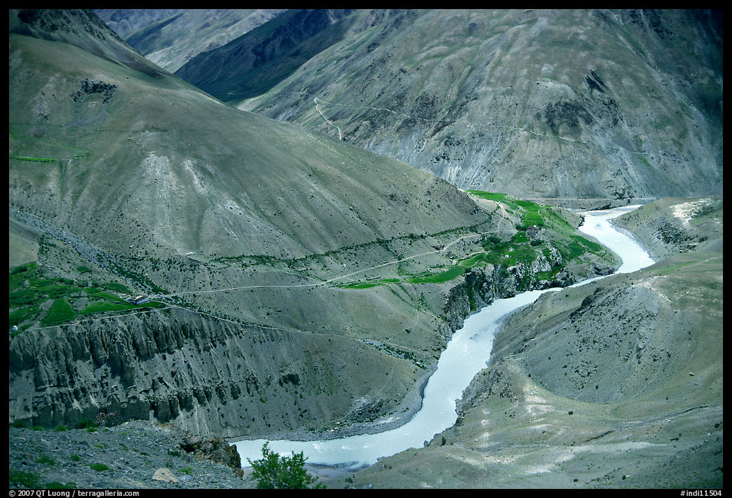 Zanskar River valley with cultivation patches, Zanskar, Jammu and Kashmir. India