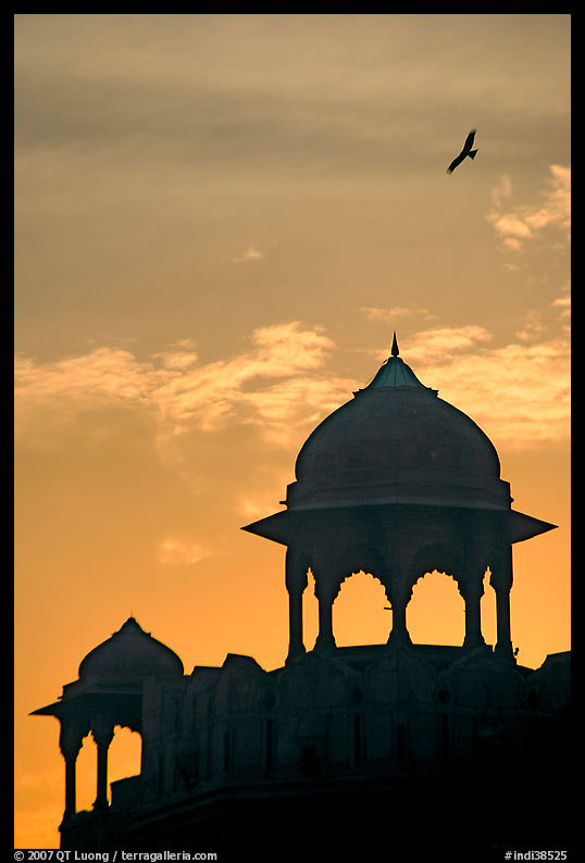 Bird and wall pavilions of Red fort, sunrise. New Delhi, India