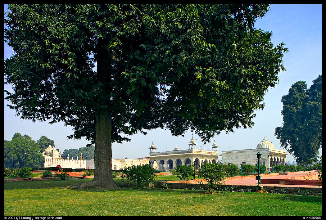 Courtyard garden with  Diwan-i-Khas, Hammans, Moti Masjid. New Delhi, India
