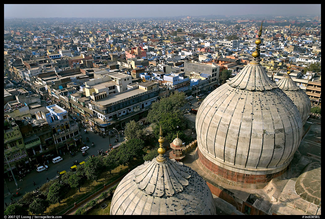 Domes of Jama Masjid mosque and Old Delhi from above. New Delhi, India