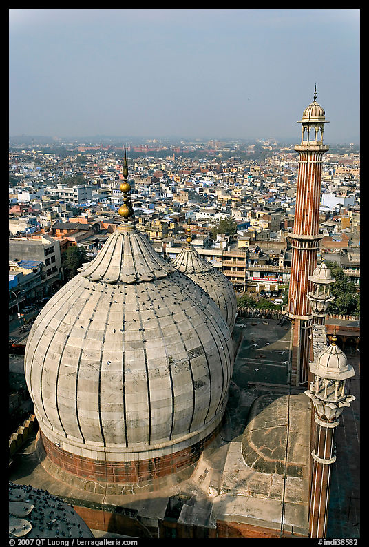 Dome of Jama Masjid mosque and Old Delhi rooftops. New Delhi, India