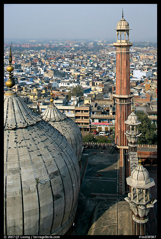 Domes and Minaret from above, Jama Masjid. New Delhi, India