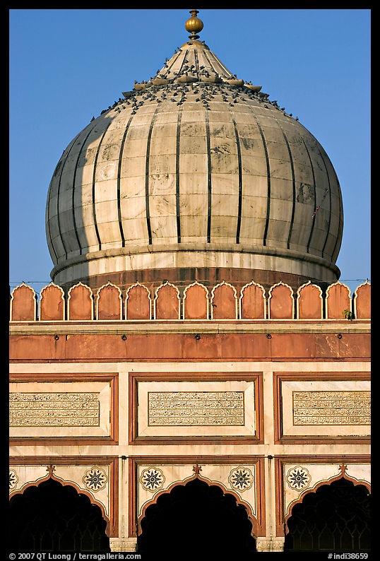 Dome and prayer hall arches, Jama Masjid. New Delhi, India