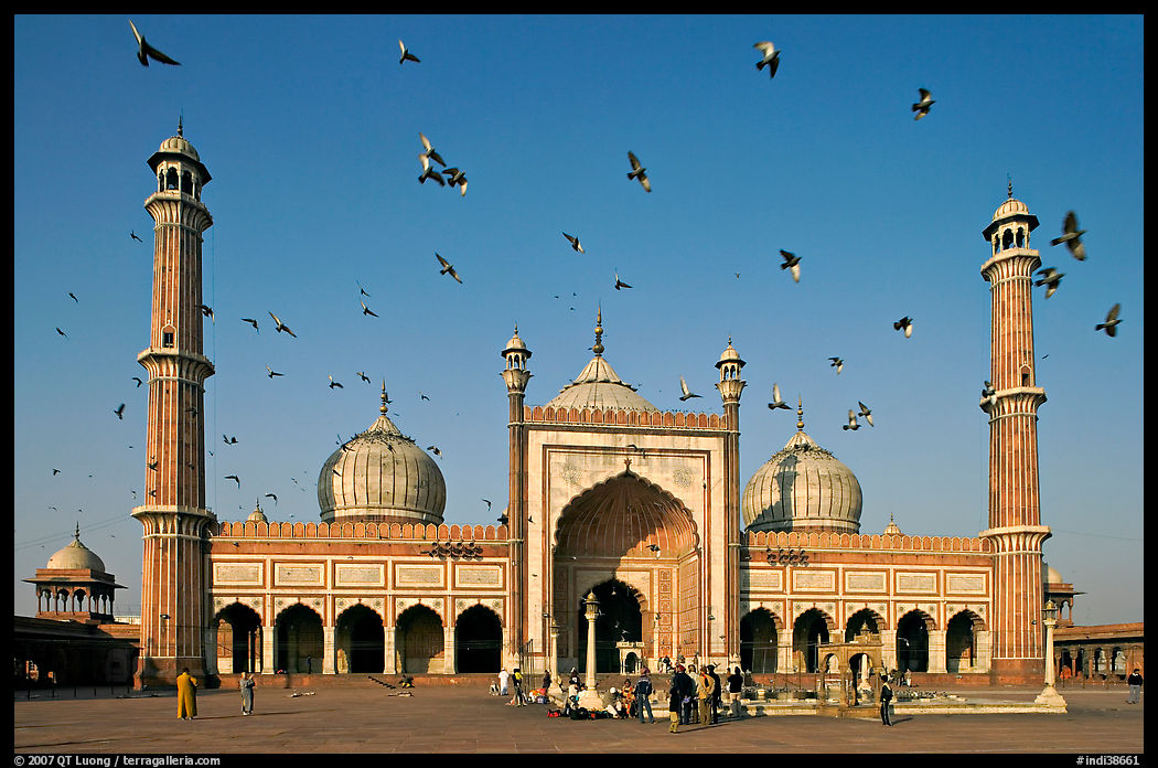 Jama Masjid with pigeons flying. New Delhi, India