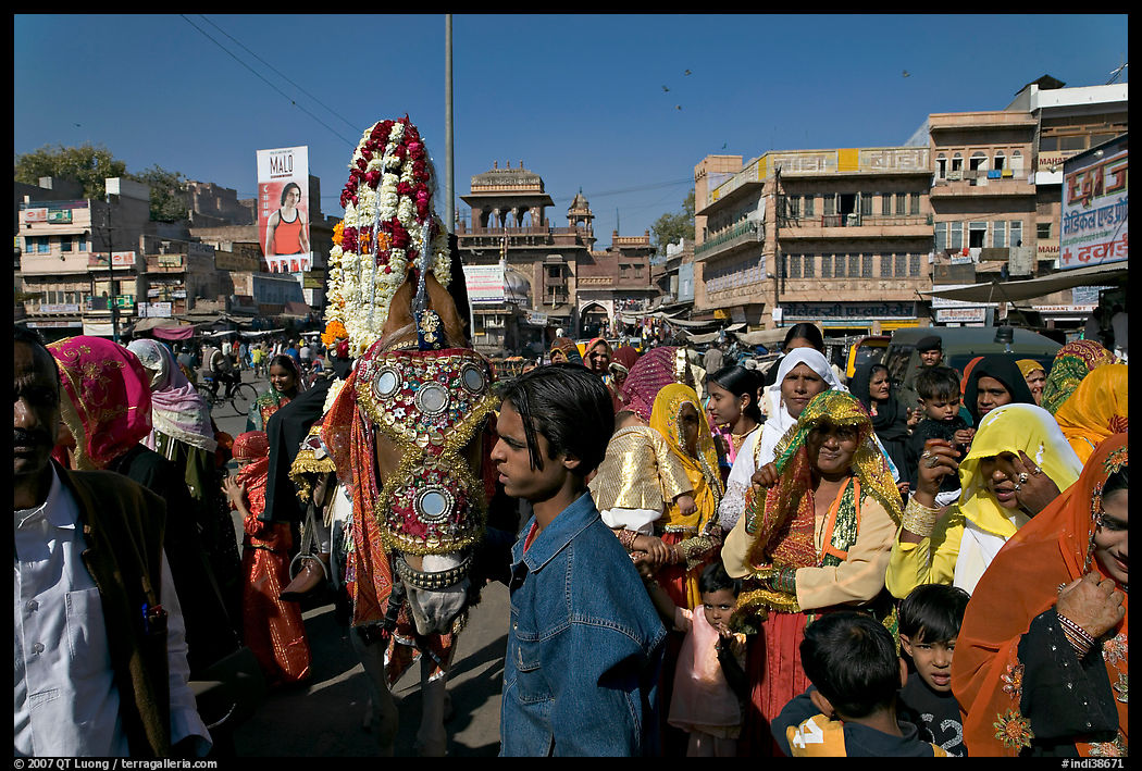 Wedding procession with flower-covered groom on horse. Jodhpur, Rajasthan, India