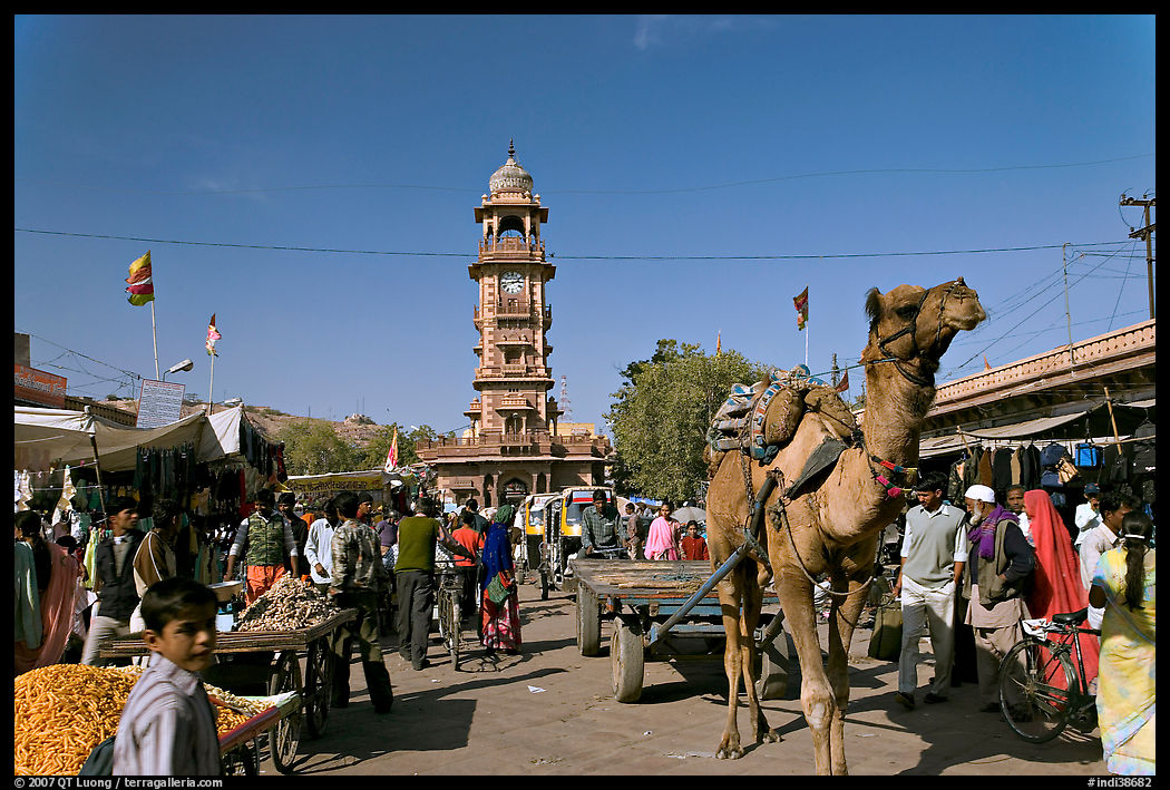 Camel and clock tower in Sardar Market. Jodhpur, Rajasthan, India