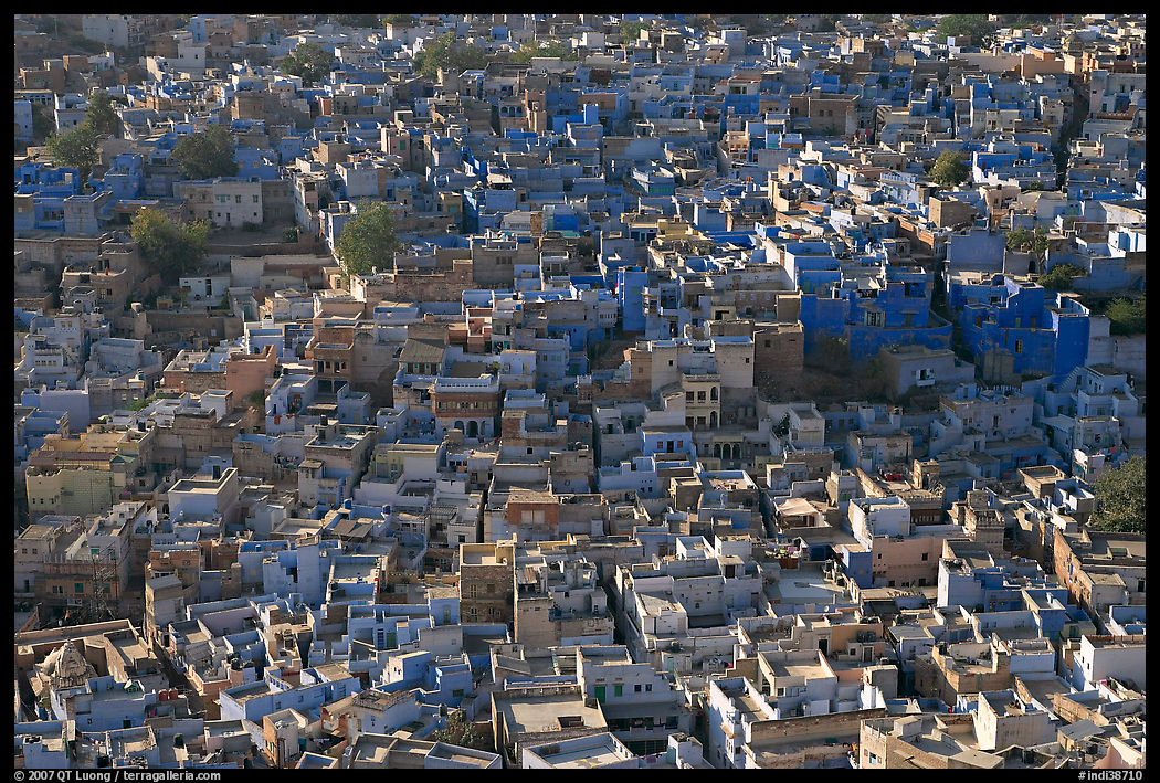 View over a sea of blue houses from Mehrangarh Fort. Jodhpur, Rajasthan, India