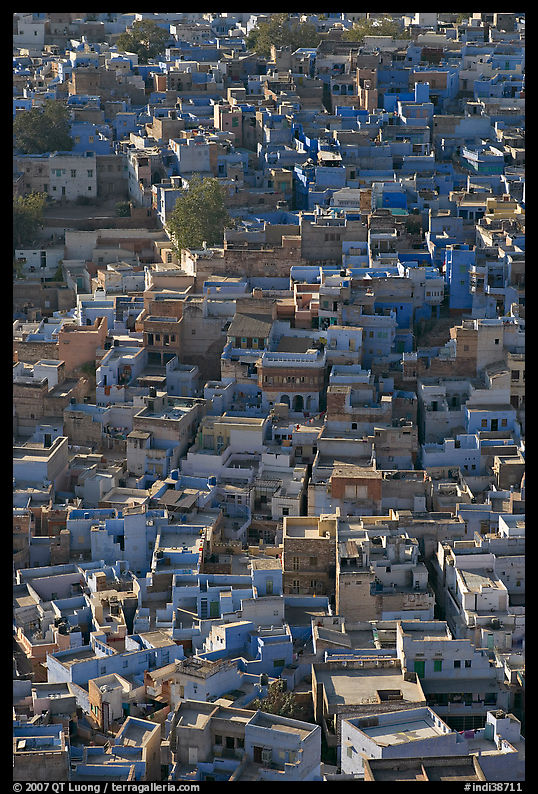 Rooftops of blue houses, seen from above. Jodhpur, Rajasthan, India