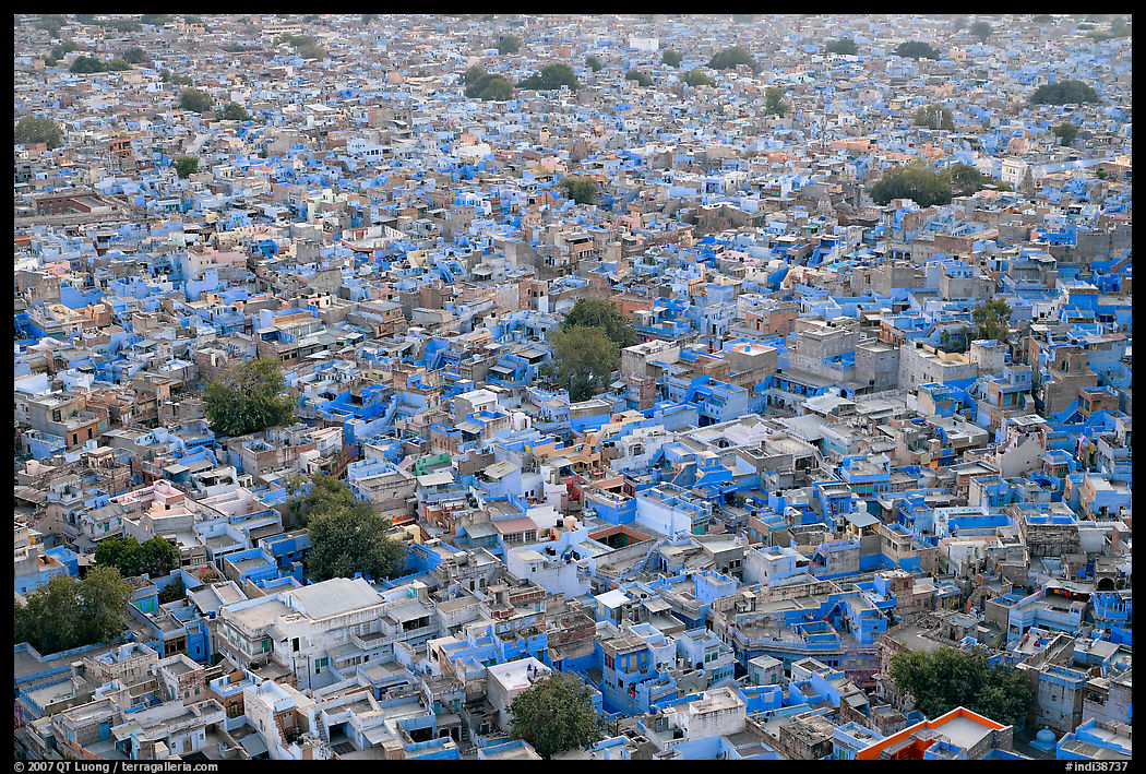 Whitewashed indigo tinted houses seen from above at dusk. Jodhpur, Rajasthan, India