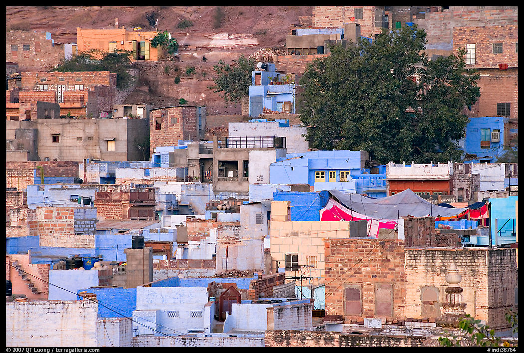 Old quarter houses at dawn. Jodhpur, Rajasthan, India