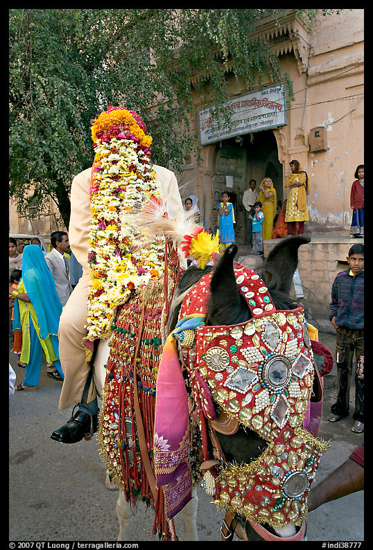 Flower-covered groom riding on horse. Jodhpur, Rajasthan, India