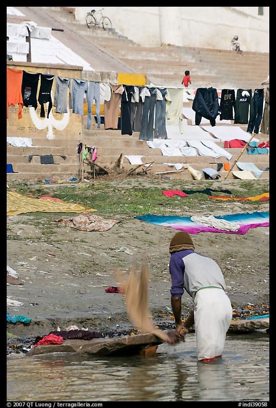 Man beating dirt out of laundry on Ganges riverbank. Varanasi, Uttar Pradesh, India