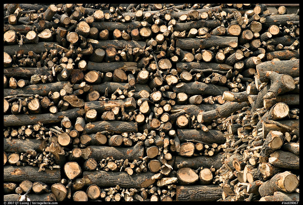 Firewood used for cremations. Varanasi, Uttar Pradesh, India