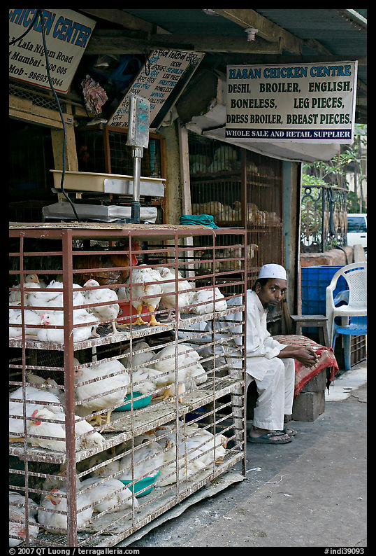 Chicken vendor, Colaba Market. Mumbai, Maharashtra, India