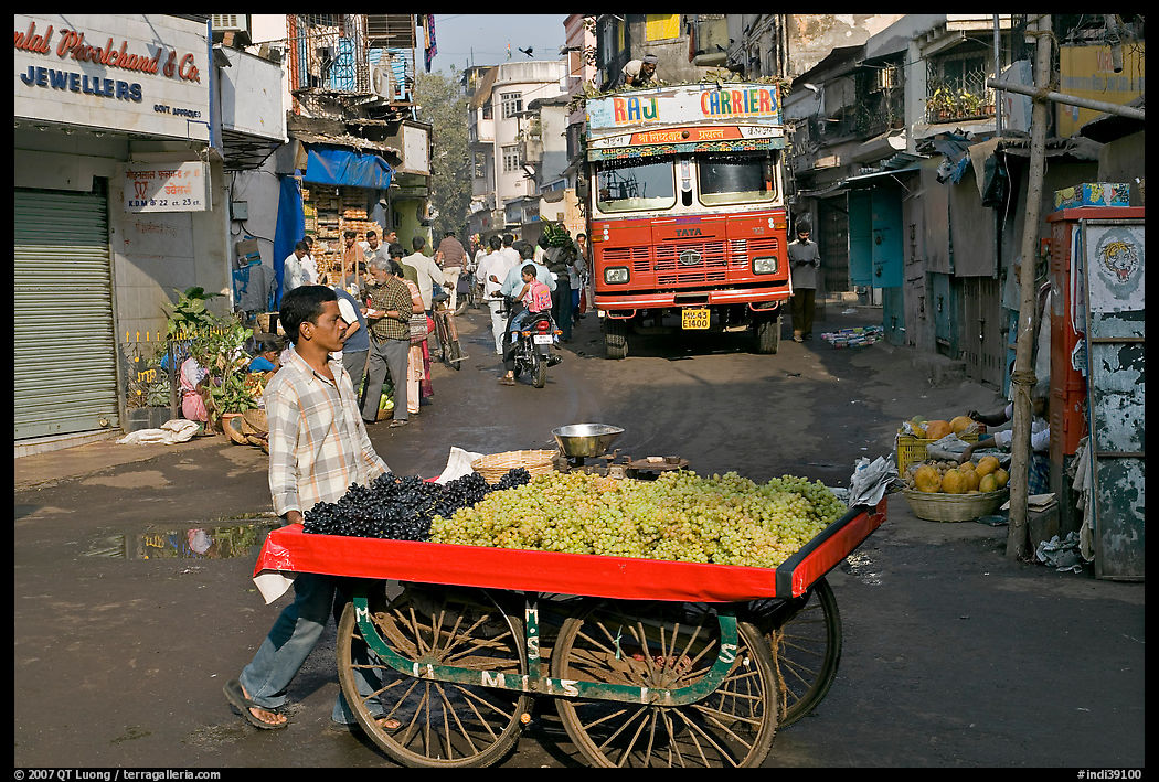 Vegetable vendor pushing cart with truck in background, Colaba Market. Mumbai, Maharashtra, India