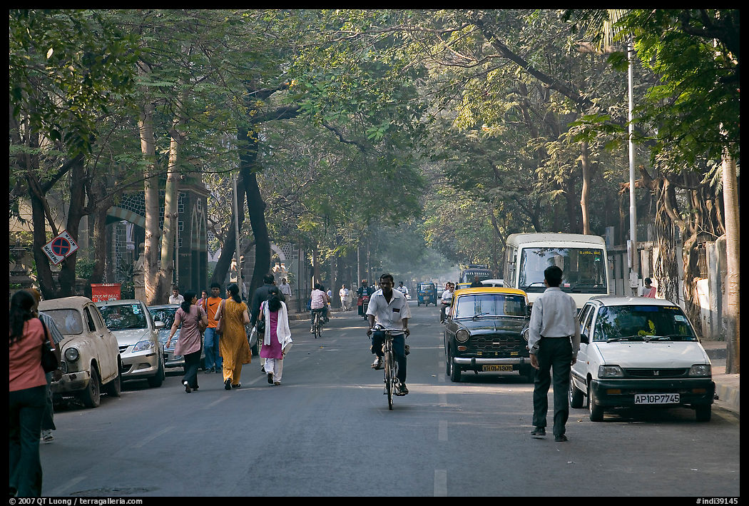 Tree-lined street, Colaba. Mumbai, Maharashtra, India